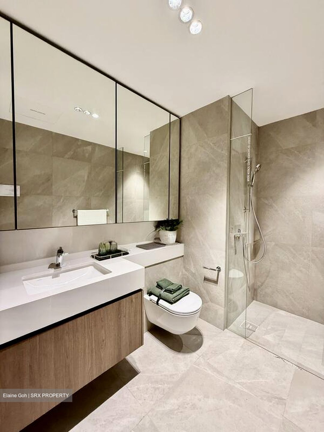 Terra Hill (D5), Apartment #513486821